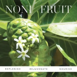 KORA Organics Noni Glow Face Oil 10 ml