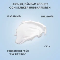 L300 Niacinamide Pure Calm Overnight Mask 60ml