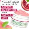 Mario Badescu Lip Mask With Pomegranate & Guava 14 g
