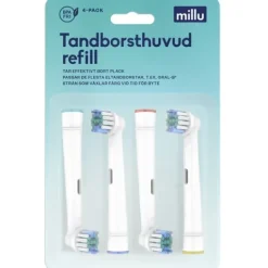 Millu Tandborsthuvud 4-pack