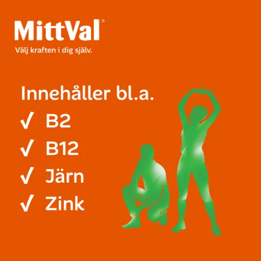 MittVal Vegetarian 100 tabletter