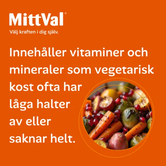 MittVal Vegetarian 100 tabletter