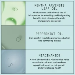 Nioxin Scalp Recovery Kit