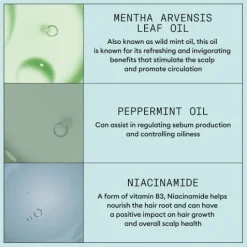 Nioxin Scalp Recovery Kit