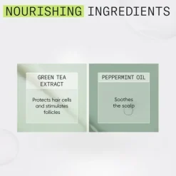 Nioxin System 2 Conditioner 1000 ml