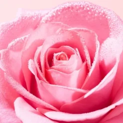 Nuxe Very Rose Gentle Face Scrub 75 ml