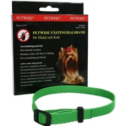 Petwise Fästinghalsband för hund small