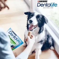 Purina DentaLife Medium 12-25 kg Big Pack 24 st