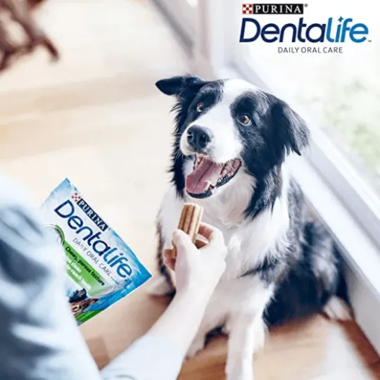 Purina DentaLife Medium 12-25 kg Big Pack 24 st