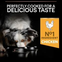 Purina Pro Plan Small & Mini Adult Dog Rikt på Kyckling 7 kg