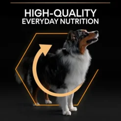 Purina Pro Plan Small & Mini Adult Dog Rikt på Kyckling 7 kg