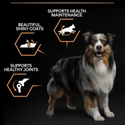 Purina Pro Plan Small & Mini Adult Dog Rikt på Kyckling 7 kg