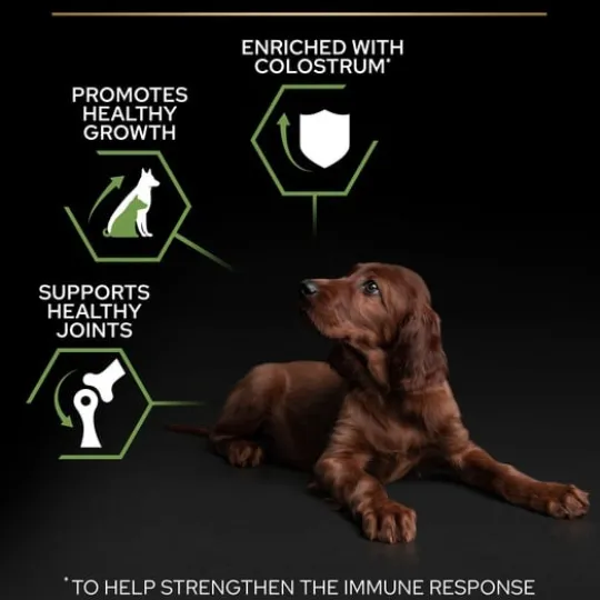 Purina Pro Plan Small & Mini Puppy Rikt på Kyckling 7 kg
