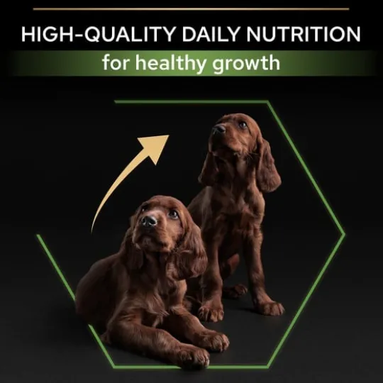 Purina Pro Plan Small & Mini Puppy Rikt på Kyckling 7 kg
