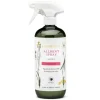 Rapsodine Allrentspray 750 ml