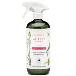 Rapsodine Allrentspray 750 ml
