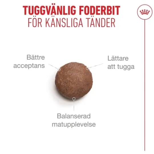 Royal Canin Ageing 11+ Sterilised Torrfoder för Katt 2 kg