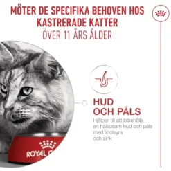 Royal Canin Ageing 11+ Sterilised Torrfoder för Katt 2 kg