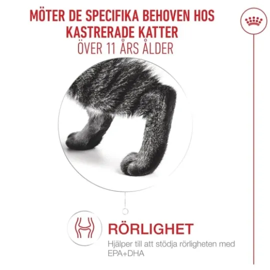 Royal Canin Ageing 11+ Sterilised Torrfoder för Katt 4 kg