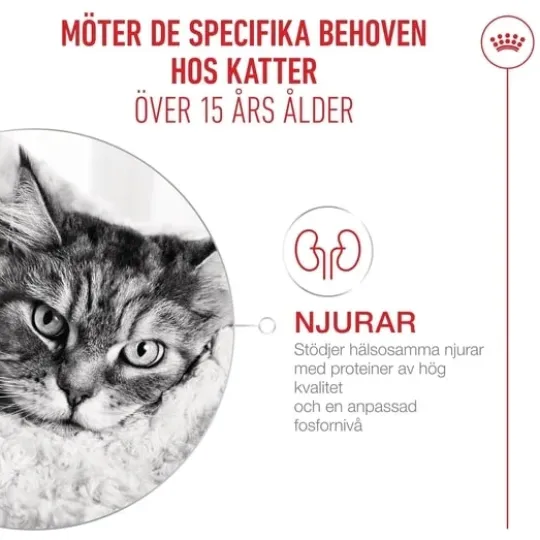 Royal Canin Ageing 15+ Torrfoder för Katt 2 kg