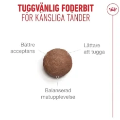 Royal Canin Ageing 11+ Torrfoder för Katt 2 kg