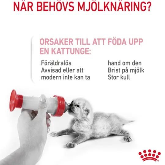 Royal Canin Babycat Milk Mjölk för Kattunge 300 g