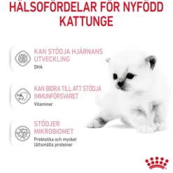 Royal Canin Babycat Milk Mjölk för Kattunge 300 g