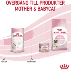 Royal Canin Babycat Milk Mjölk för Kattunge 300 g