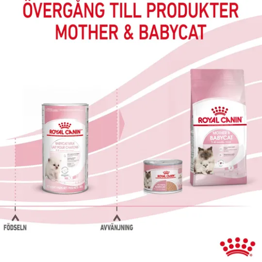 Royal Canin Babycat Milk Mjölk för Kattunge 300 g