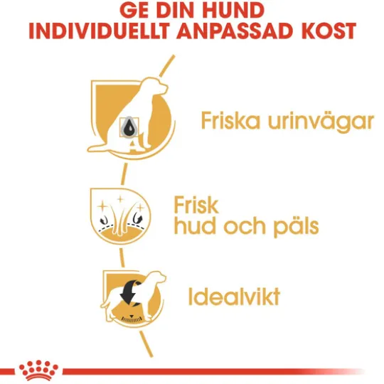 Royal Canin Bichon Frisé Adult Torrfoder för Hund 1,5 kg