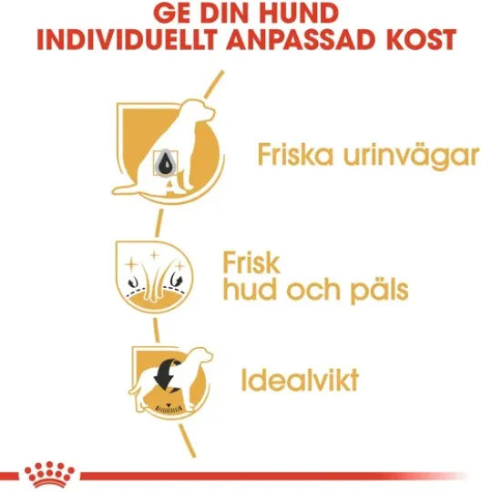 Royal Canin Bichon Frisé Adult Torrfoder för Hund 1,5 kg