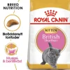 Royal Canin British Shorthair Kitten Torrfoder för Kattunge 2 kg