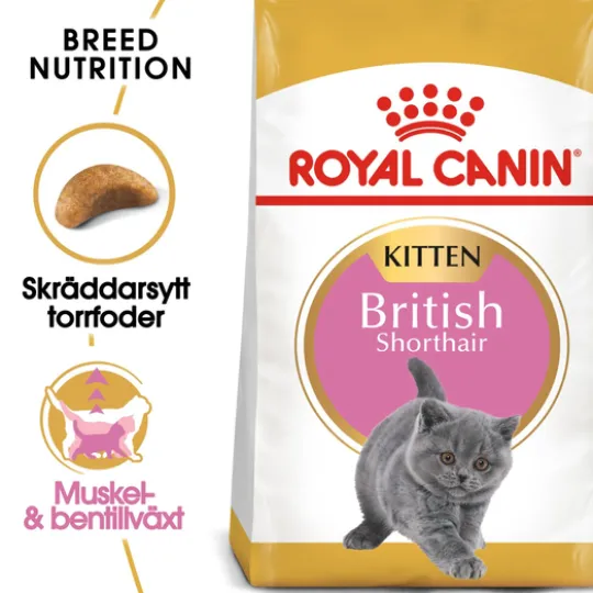 Royal Canin British Shorthair Kitten Torrfoder för Kattunge 2 kg