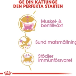 Royal Canin British Shorthair Kitten Torrfoder för Kattunge 2 kg