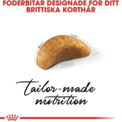 Royal Canin British Shorthair Kitten Torrfoder för Kattunge 2 kg