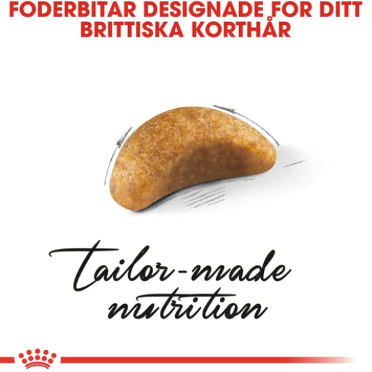Royal Canin British Shorthair Kitten Torrfoder för Kattunge 2 kg