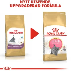 Royal Canin British Shorthair Kitten Torrfoder för Kattunge 2 kg