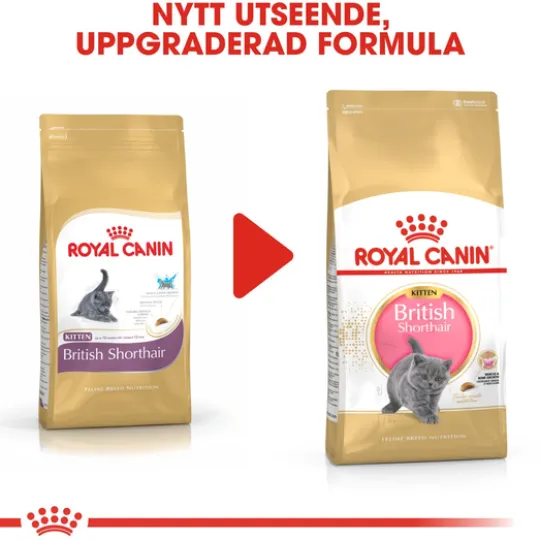 Royal Canin British Shorthair Kitten Torrfoder för Kattunge 2 kg