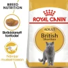 Royal Canin British Shorthair Adult Torrfoder för Katt 2 kg
