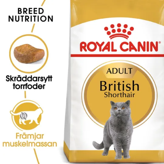 Royal Canin British Shorthair Adult Torrfoder för Katt 2 kg