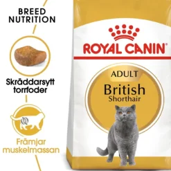 Royal Canin British Shorthair Adult Torrfoder för Katt 10 kg