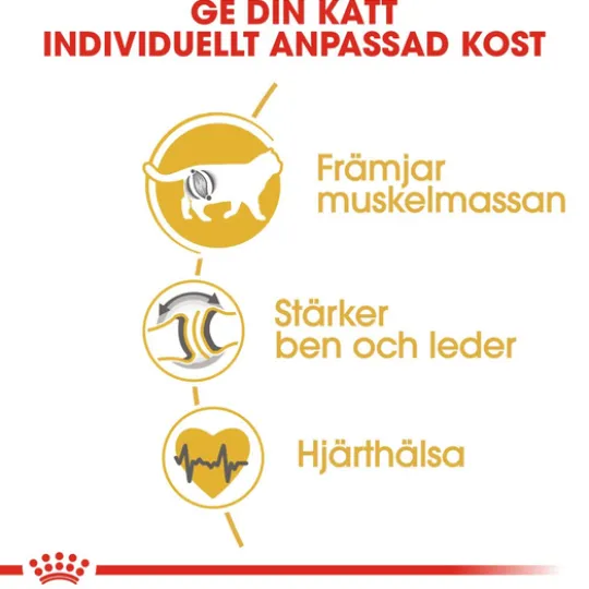 Royal Canin British Shorthair Adult Torrfoder för Katt 10 kg
