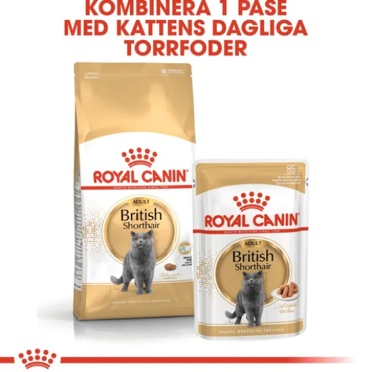 Royal Canin British Shorthair Adult Torrfoder för Katt 10 kg