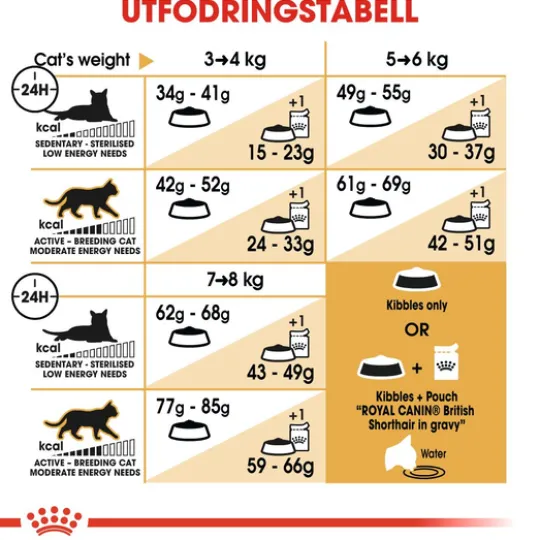 Royal Canin British Shorthair Adult Torrfoder för Katt 10 kg
