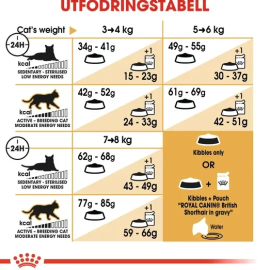 Royal Canin British Shorthair Adult Torrfoder för Katt 2 kg