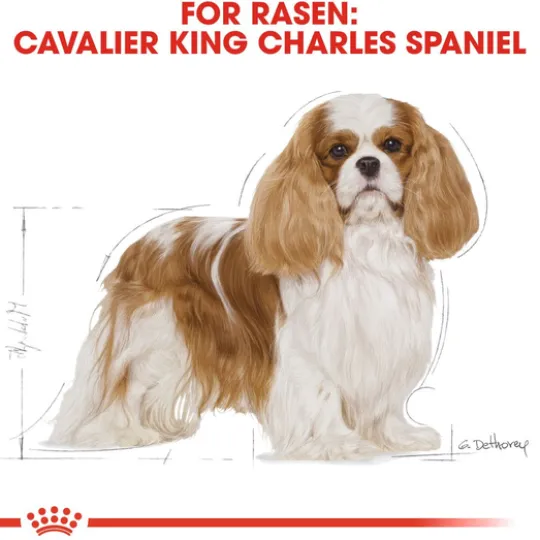 Royal Canin Cavalier King Charles Adult Torrfoder för Hund 7,5 kg