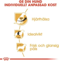 Royal Canin Cavalier King Charles Adult Torrfoder för Hund 7,5 kg