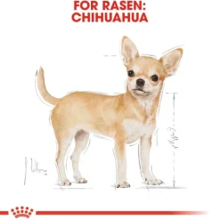 Royal Canin Chihuahua Adult Torrfoder för Hund 1,5 kg