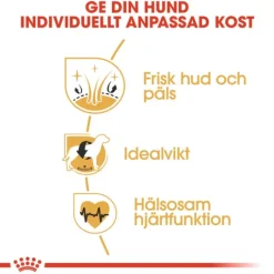 Royal Canin Cocker Adult Torrfoder för Hund 3 kg