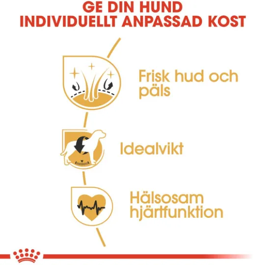 Royal Canin Cocker Adult Torrfoder för Hund 3 kg